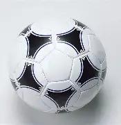 埃弗顿球员,被停训参与,警方调查,新葡京,新葡京app,新葡京娱乐,新普京赌场