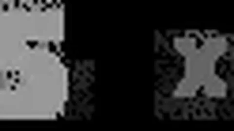 广厦主场大胜广东，五人得分双位数